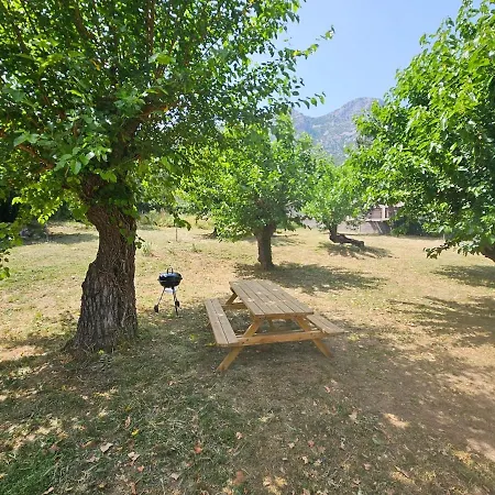 Les Muriers De Rose Saint-Jean-de-Buèges
