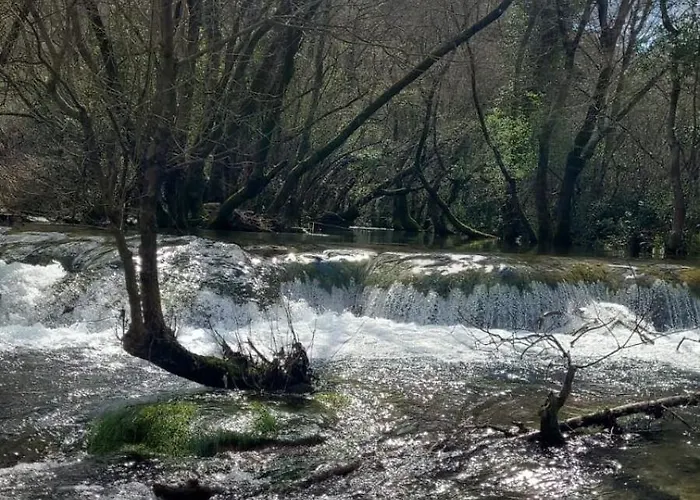 Les Muriers De Rose Appartement Saint-Jean-de-Buèges