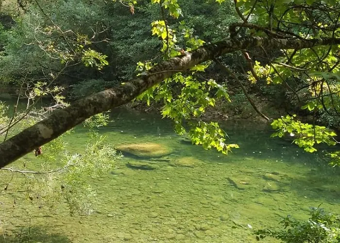 Les Muriers De Rose *