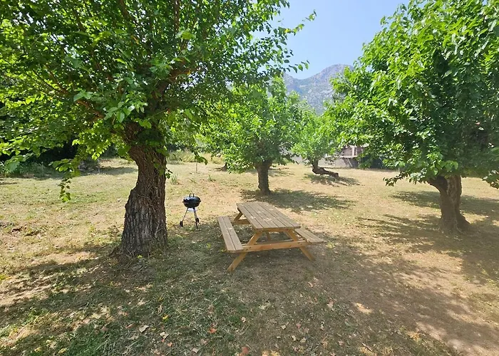 Les Muriers De Rose Saint-Jean-de-Buèges